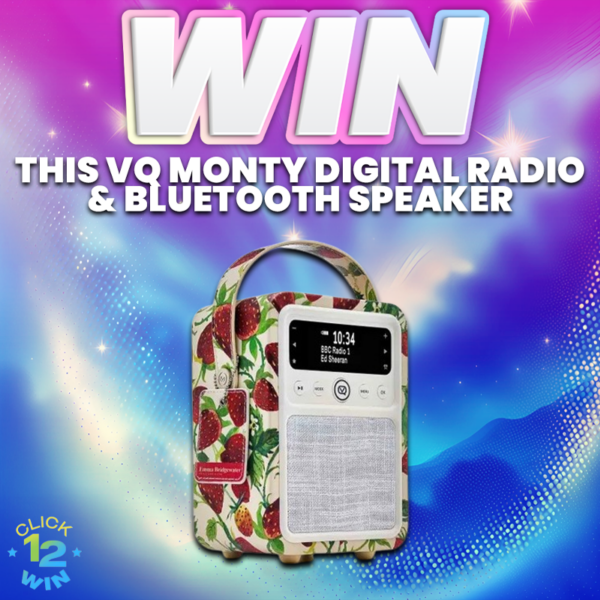 VQ Monty DAB/DAB+ Digital Radio & Bluetooth Speaker