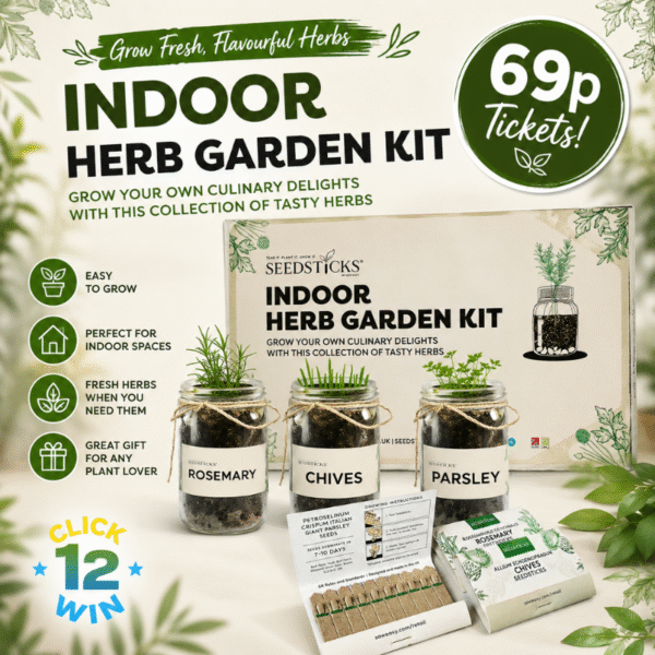 Indoor Herb Garden